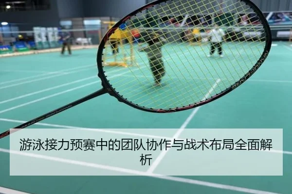 游泳接力预赛中的团队协作与战术布局全面解析