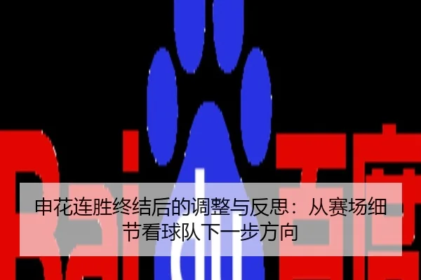 申花连胜终结后的调整与反思：从赛场细节看球队下一步方向